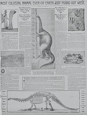 Archivo:Discovery of Dippy the Diplodocus, announced in the New York Journal and Advertiser