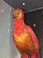 Fawkes (Albus Dumbledore's phoenix)
