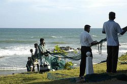 Fishermen in Tangalla 4.jpg