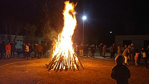Archivo:Fogata 2024
