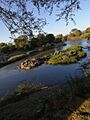IMG-20200124-WA0015
