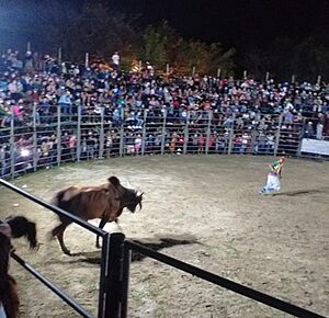 Archivo:Jaripeo2conce