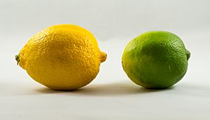 Archivo:Lemon and lime