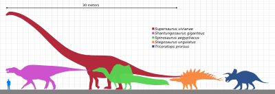 Archivo:Longest dinosaur by clade