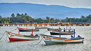 Archivo:Los colores de la pesca