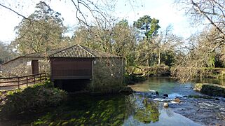 Muiño das Aceñas, río Tamuxe