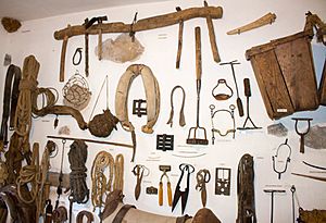 Archivo:Museo Etnológico de Puerto Seguro - Vista general de aparejos, correajes y otros utensilios relacionados con los animales de carga 1 (25324982859)