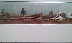 Archivo:Museo de Tepatitlan arqueologia