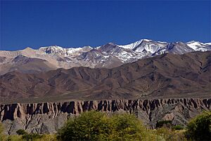 Archivo:Nevadochachi