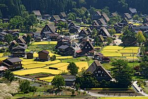 Archivo:Ogi Shirakawa-gō, Gifu, Japan