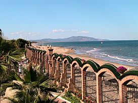 PLATJA DE LES AMPLÀRIES - ORPESA - IB-264.JPG