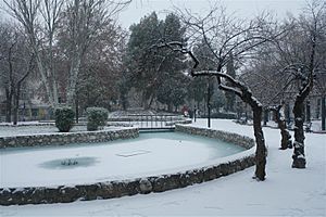 Archivo:Parque gonzalez bueno nieve