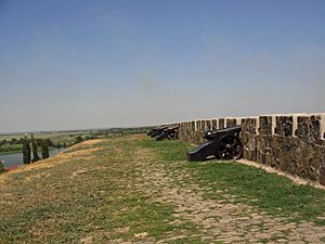 Archivo:Ramparts-azov-fortress