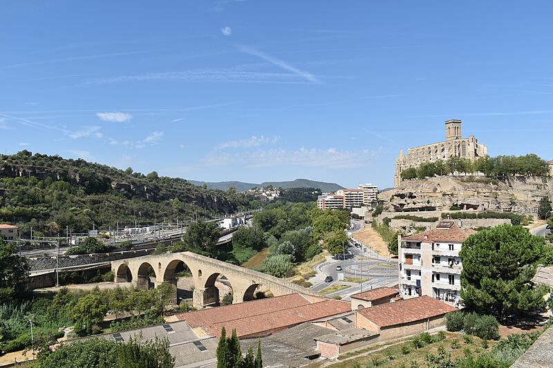 Seu i Pont Vell, Manresa