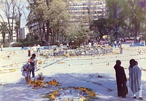 Archivo:Sismo 1985 Ciudad de México 79