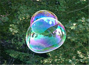 Archivo:Soap Bubble - foliage background - iridescent colours - Traquair 040801