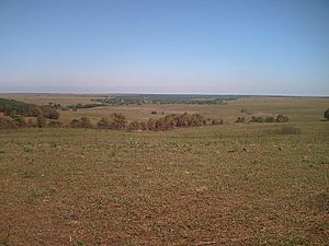 Archivo:Tallgrass Prairie Preserve