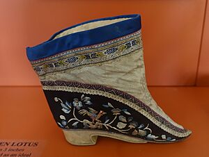 Archivo:Woman's shoe, China, possibly Shanxi or Ningbo style, late 19th to early 20th century, satin, silk, cotton, gold thread, velvet - Redpath Museum - McGill University - Montreal, Canada - DSC08203