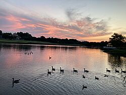 Wyndham, Virginia pond.jpg