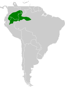 Distribución geográfica del trepatroncos ocelado septentrional.