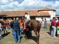 1-Santerón XLISeptenario (2005)0092