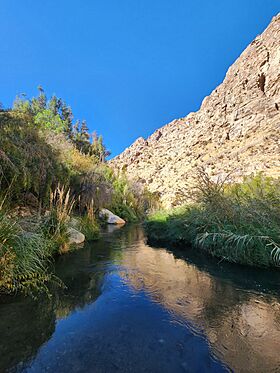 20250420 Rio Cochiguaz.jpg