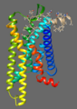 8F7Q MOR beta-Endorphin