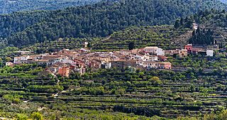 Alcoleja.jpg