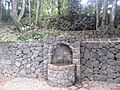Bosque del Adelantado 7