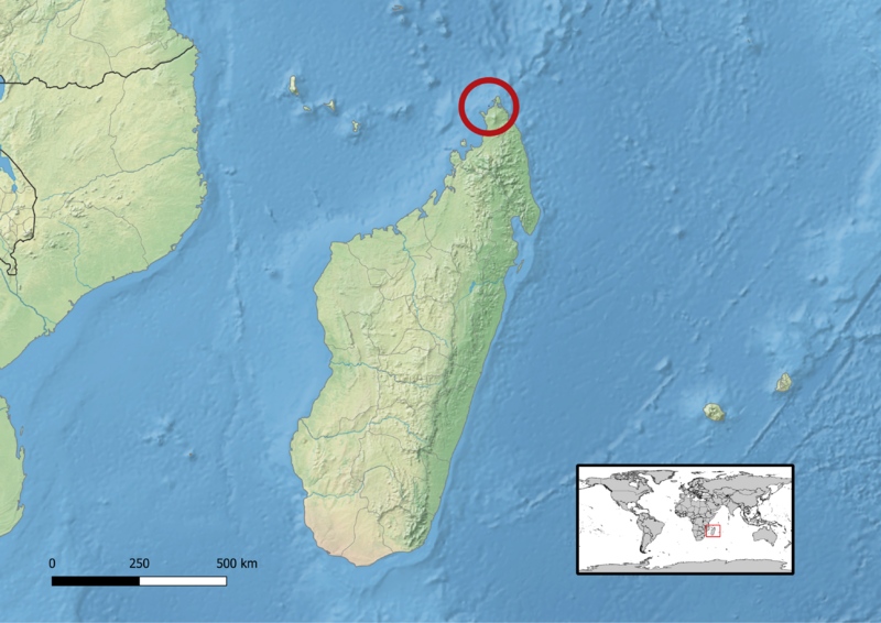 Brookesia micra distribution