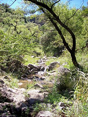 Archivo:Caminata Vaquerías