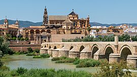 Centro Histórico, 16.9 -- 2023 -- Córdoba, España.jpg