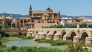 Archivo:Centro Histórico, 16.9 -- 2023 -- Córdoba, España
