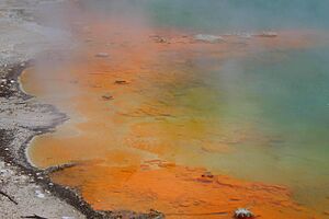 Archivo:Champagne pool edge wai-o-tapu nz