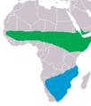 Ciconia abdimii distribution map