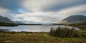Archivo:Connemara October 16