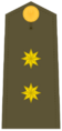 Ejerespadivi20
