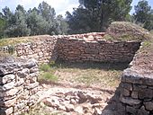 El Castellet de Banyoles (Tivissa) (8)