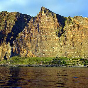 Archivo:Fajã das Bebras, Madeira - 2013-01-09 - 85880441