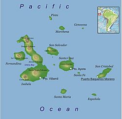 Mapa de las islas Galápagos, donde se distribuye esta población.