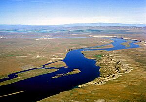 Archivo:Hare columbia-river