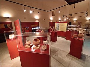 Archivo:Interior museo arqueológico de Iniesta