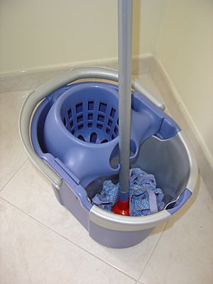 Archivo:Janitor's bucket with mop