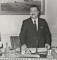 Jorge Ibáñez Vergara