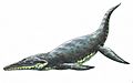 Kronosaurus