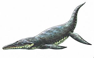 Archivo:Kronosaurus