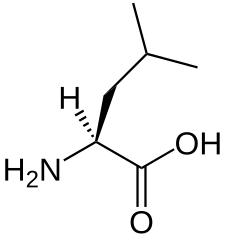 L-leucine-skeletal.svg