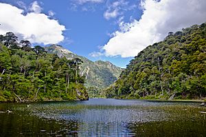 Archivo:Laguna Toro en Parque Nacional Huerquehue 3
