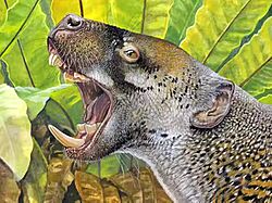 Life reconstruction of the marsupial lion Wakaleo oldfieldi.jpg