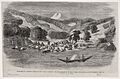 Massacre of members of the Allen Gardiner
